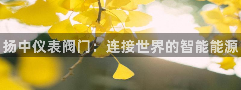 顺盈娱乐是什么福彩