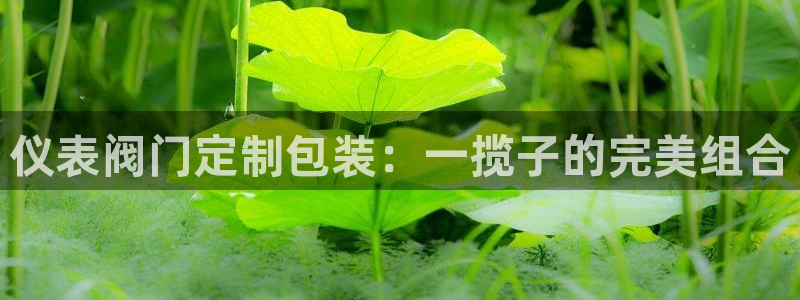 顺盈2娱乐游戏开发商