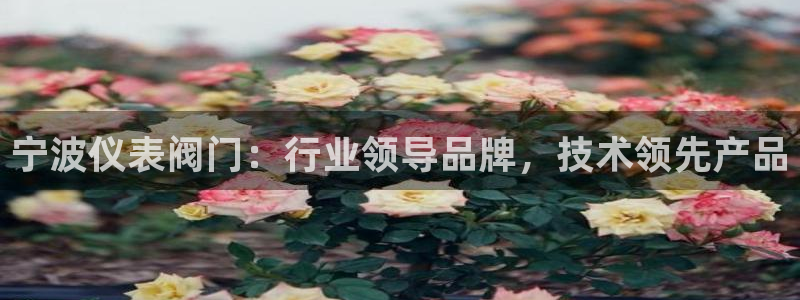 顺盈娱乐最高代理是谁
