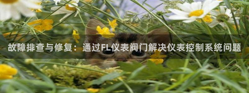 盈顺休闲娱乐室在哪里