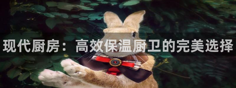 清远顺盈娱乐集团地址