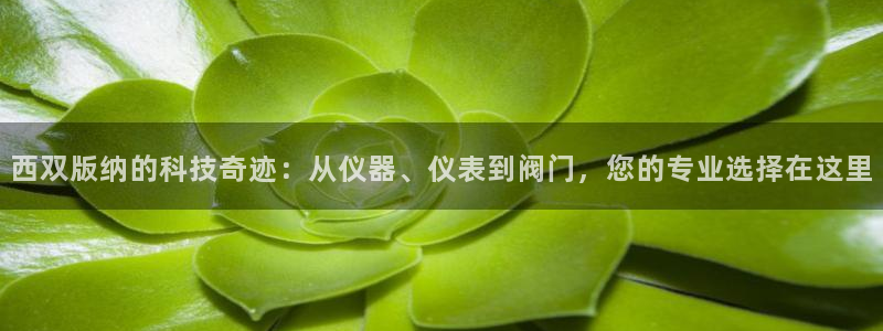 顺盈娱乐注册九判官333OO