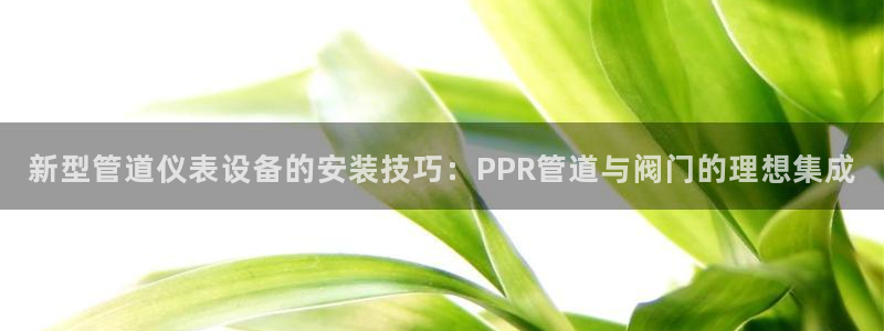 顺盈娱乐棋牌