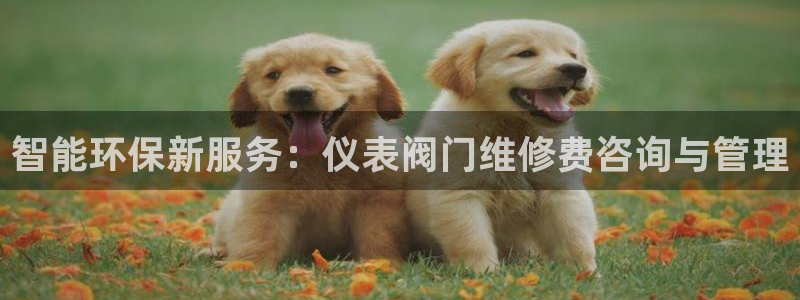 清远顺盈娱乐公司工作