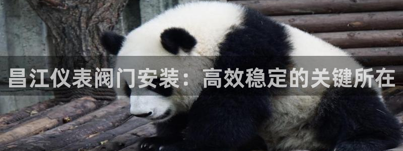 顺盈娱乐行求威判官333OO