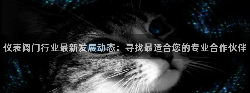 顺盈娱乐主管右原判官333OO