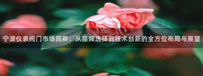 清远顺盈娱乐公司推荐