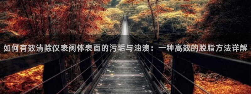 顺盈娱乐认究7276O