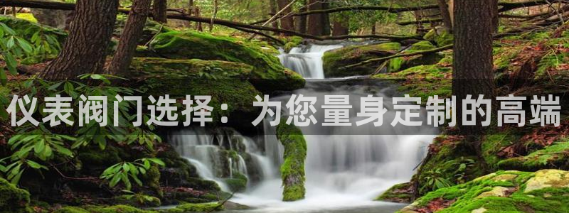 顺盈2娱乐主管