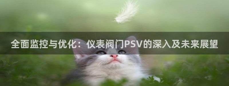 顺盈娱乐注册九判官333OO