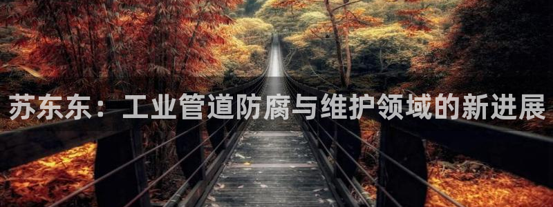 顺盈娱乐棋牌怎么样啊