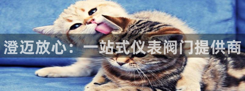顺盈娱乐彩票怎么样啊