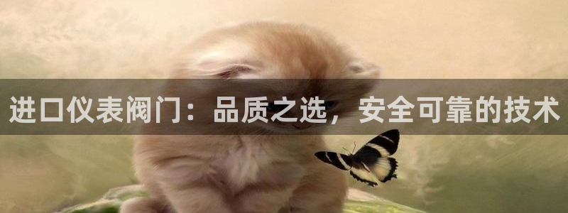 顺盈娱乐下载安装手机版