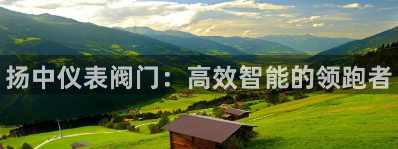 顺盈娱乐主管怎么样