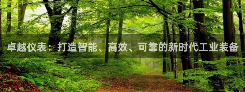 顺盈娱乐彩票怎么样啊