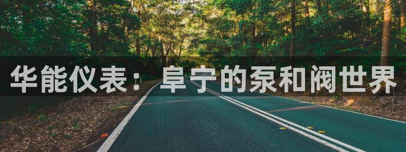 顺盈平台娱乐怎么样啊