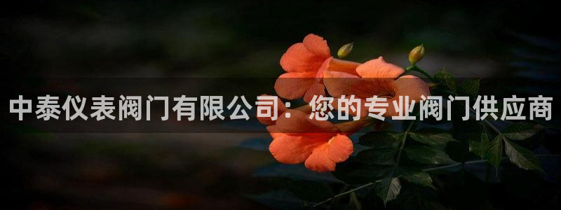 顺盈娱乐棋牌怎么样