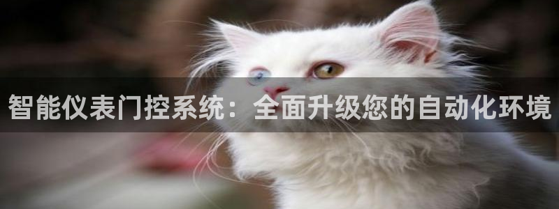 顺盈娱乐游戏开发商