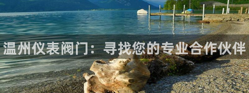 顺盈娱乐平台登录不了