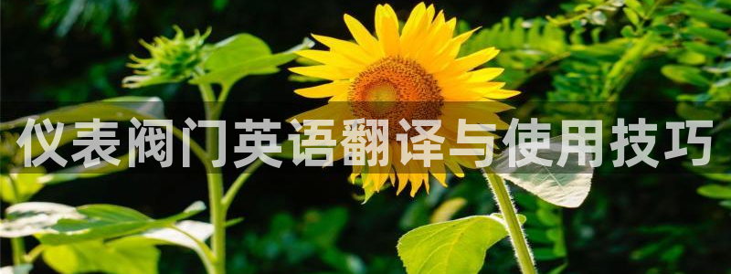 顺盈娱乐代理怎么样做