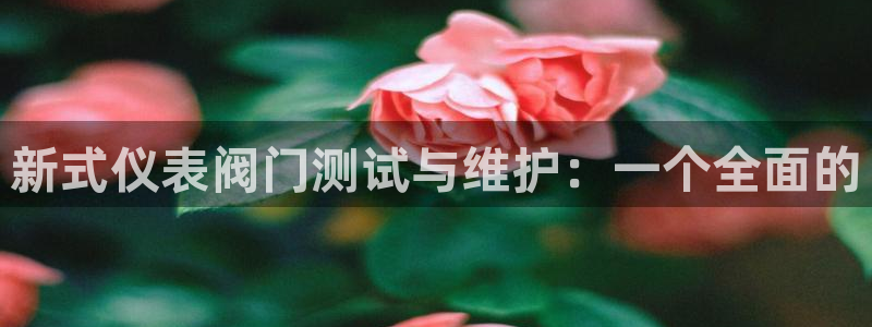 优盈娱乐顺122222