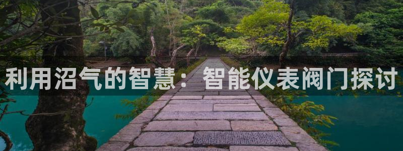 顺盈娱乐招商片判官333OO