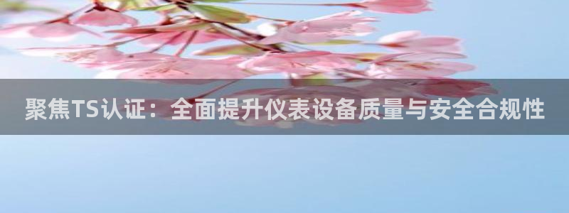 顺盈娱乐主管监判官333OO