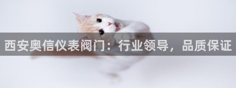 顺盈娱乐招商木判官333OO