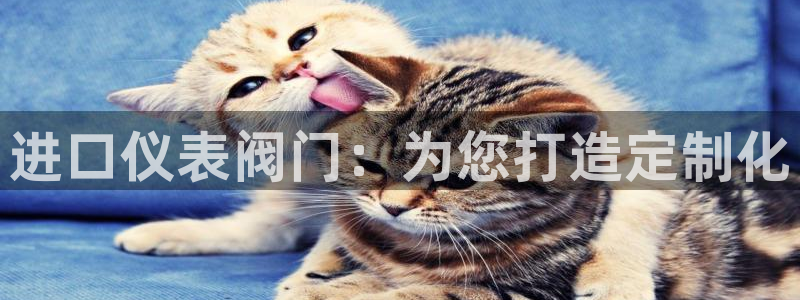 顺盈娱乐平台官网电话