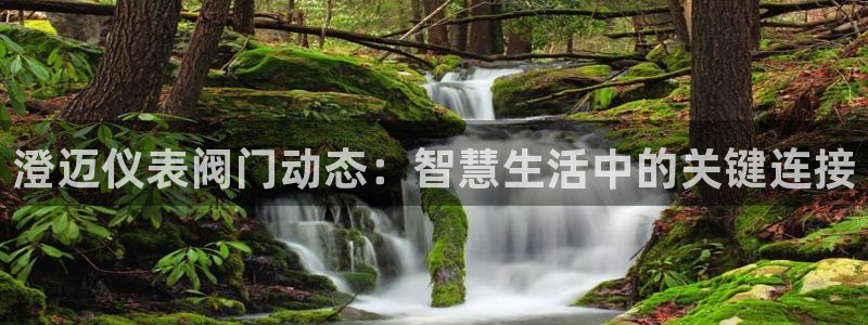 顺盈娱乐主管刘判官333OO