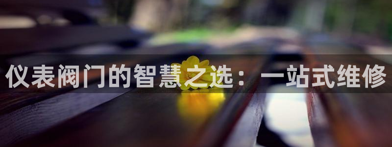 顺盈娱乐最高代理是谁呀