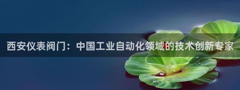 顺盈娱乐最高代理人是谁