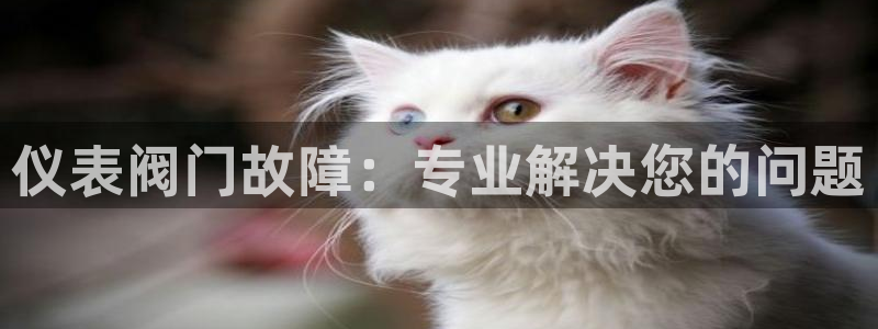 顺盈2娱乐登录平台