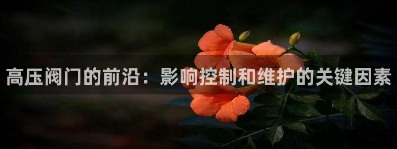 顺盈娱乐代理怎么样