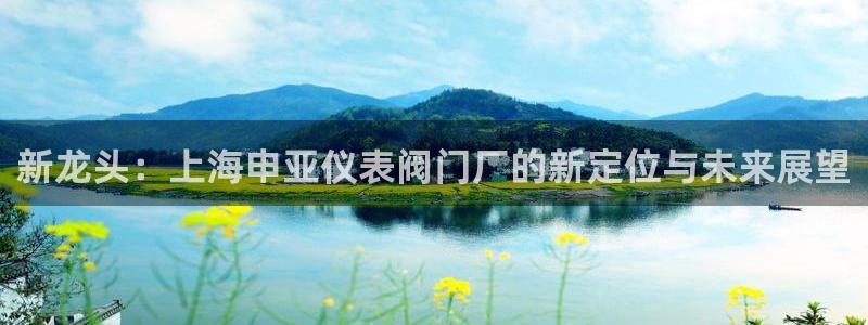 顺盈娱乐指究7276O