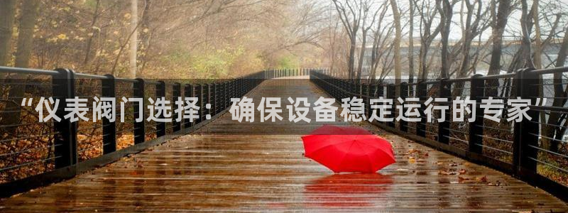 顺盈娱乐登录地址在哪儿