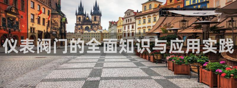 顺盈娱乐主管=天神779O3