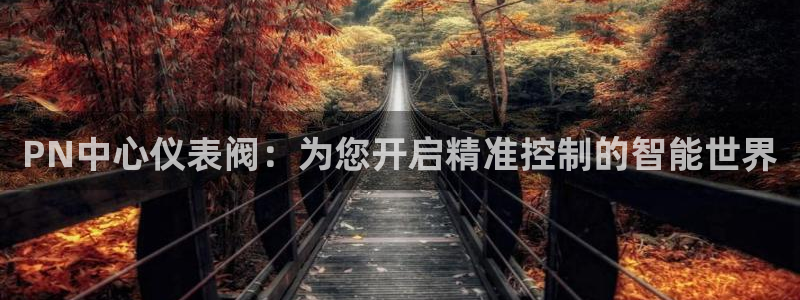 顺盈娱乐开户注册