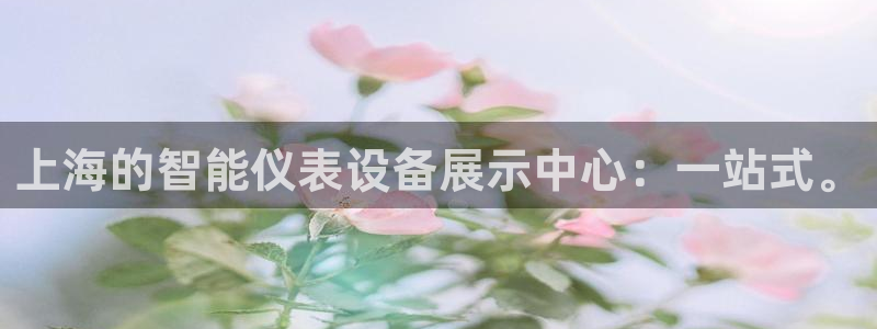 顺盈娱乐下载安装官方版