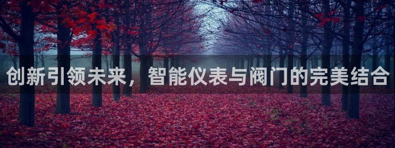 顺盈娱乐最高代理是谁呀