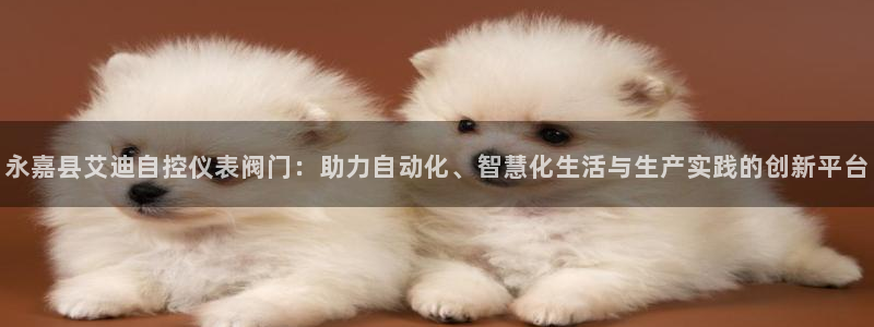 清远顺盈娱乐集团