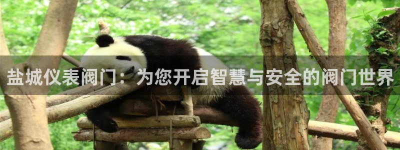 盈顺休闲娱乐室门票