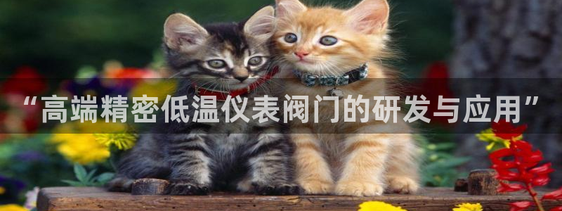 顺盈娱乐招商部听判官333OO