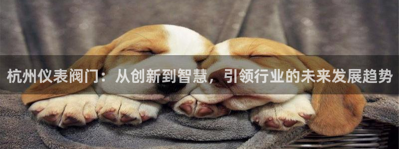 顺盈娱乐下载最新版