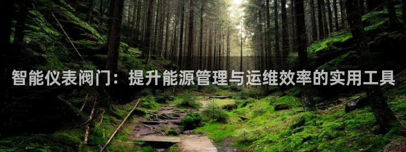 顺盈娱乐登录平台网址