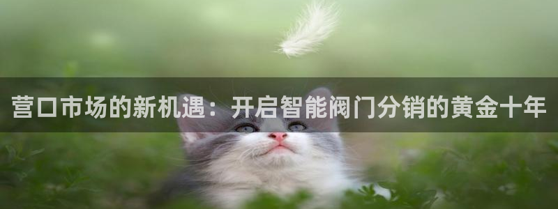 顺盈娱乐975949