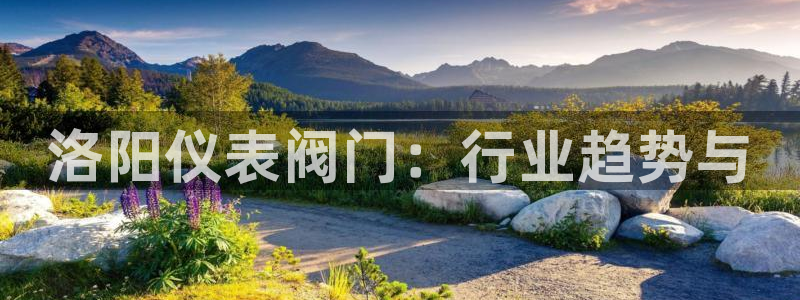 顺盈娱乐指究7276O