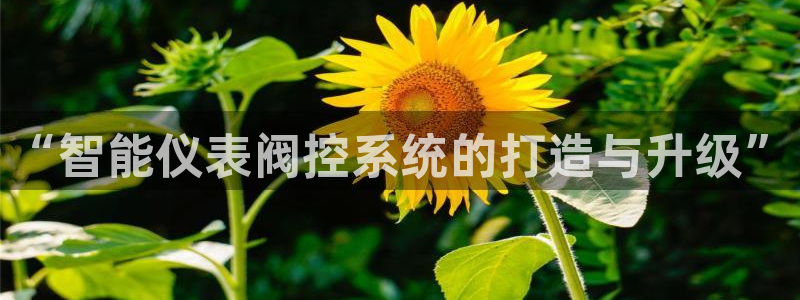 清远顺盈娱乐公司电话