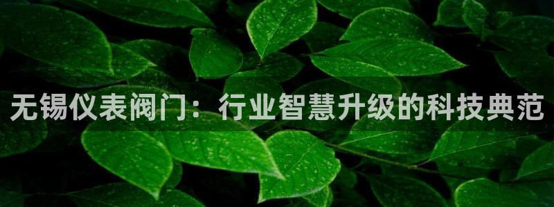 清远顺盈娱乐集团招聘吗