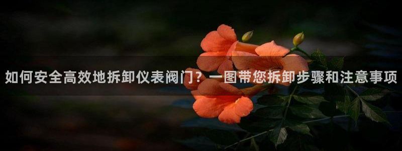 顺盈2娱乐登录平台